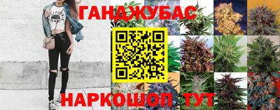 spice Севастополь