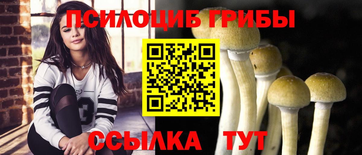 Реутов  Галлюциногенные грибы Psilocybine cubensis  Вход с VPN 